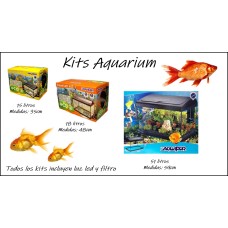 Kits aquarium